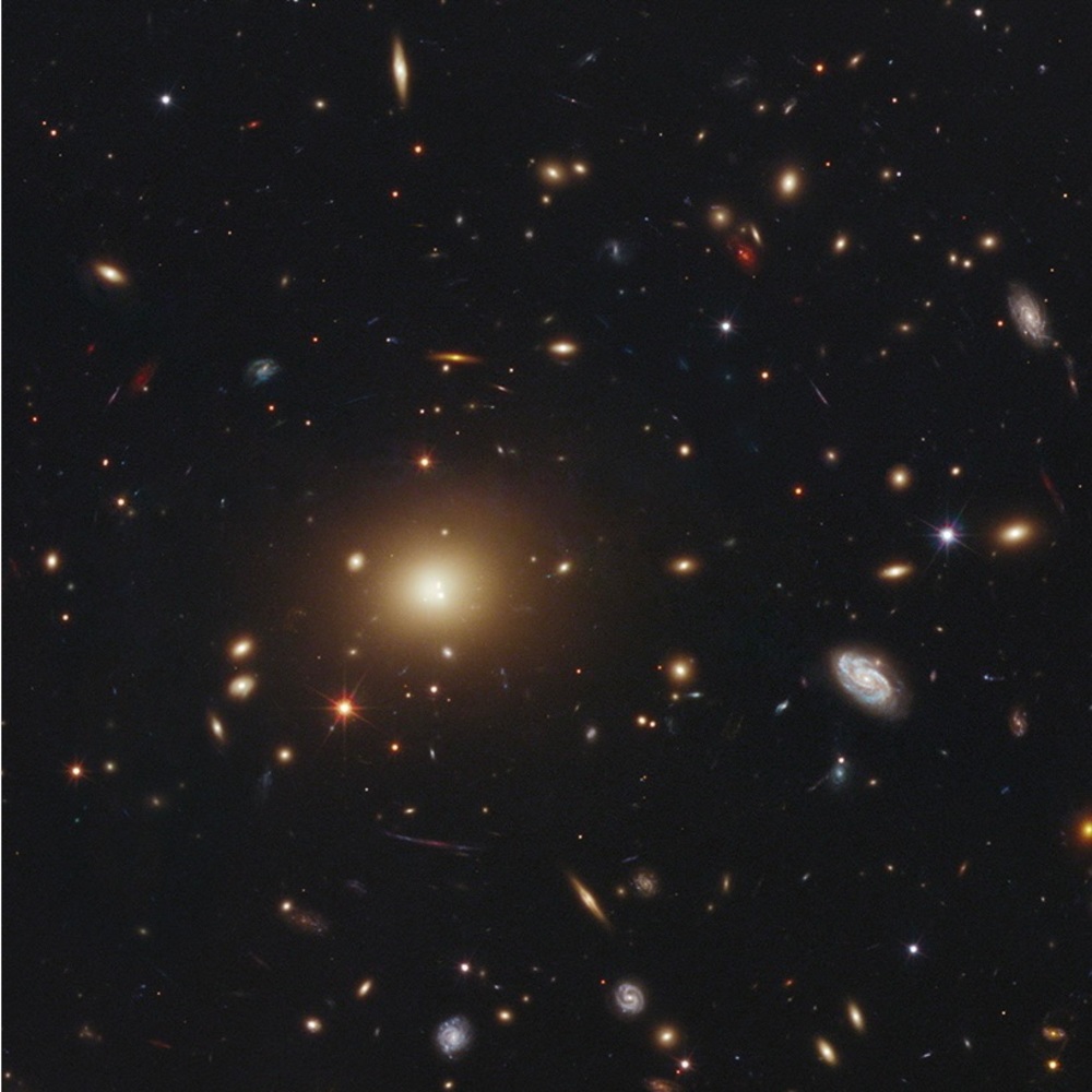 Meet your Posher, Venus